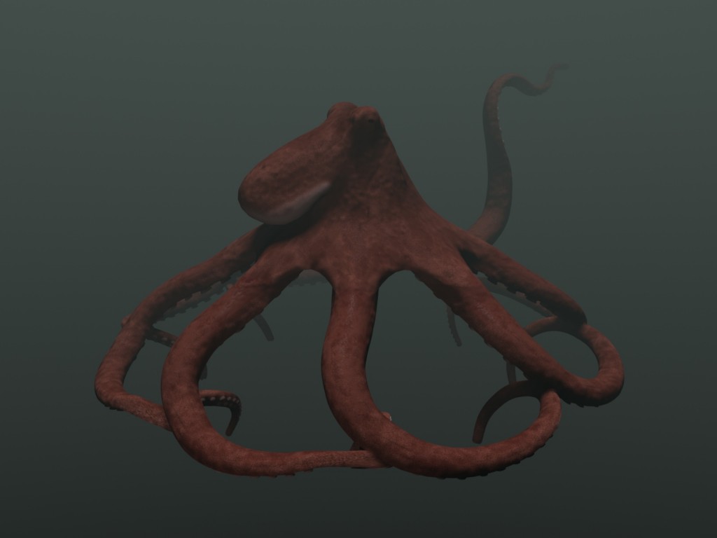 Octopus preview image 1